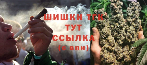 мяу мяу мука Аркадак