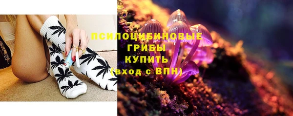 мяу мяу мука Аркадак