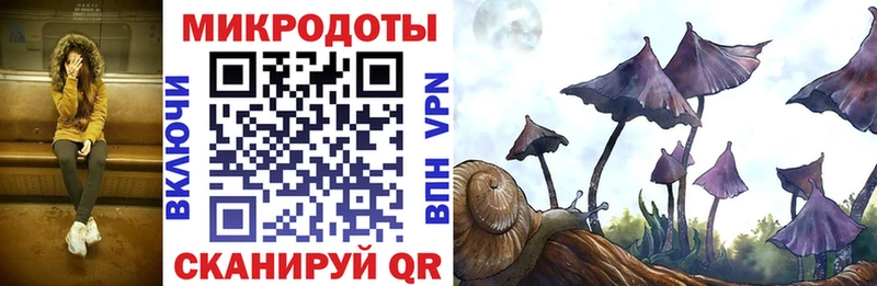 Галлюциногенные грибы мухоморы  Пошехонье 